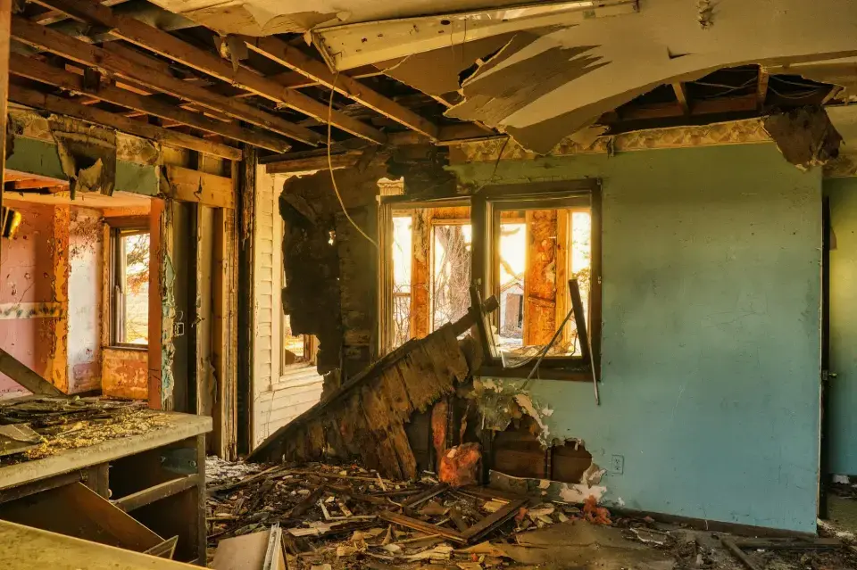 Moreno Valley's Trusted Mold Removal Experts — Moreno Valley, CA
